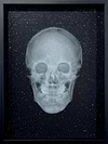 Crystal Skull (White on Black) (Framed)