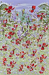 Poppies in Spring III