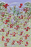 Poppies in Spring III