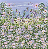 Wildflowers in a Summer Breeze