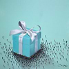 Little Blue Box II