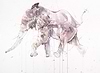 Running Elephant Study II