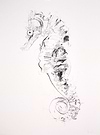 Seahorse