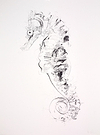 Seahorse