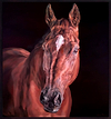 Beauty II (Framed)