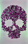 Butterfly Skull V