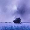 The Tree that never Fails
