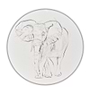 Elephant Study XXVIII