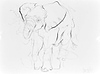 Elephant Study XXI
