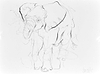 Elephant Study XXI
