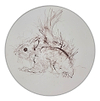 Red Squirrel Sketch