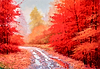 Bosque Betato