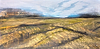 Golden Vale