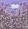 Purple Wildflowers II