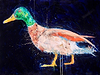 Mallard