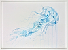 Jellyfish II