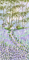 Woodland Escape IV