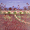 Perfect Poppies II