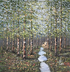 Among the White Bark III