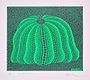 Pumpkin 2000 (Green)