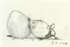 A Good Neighbour IV (study)