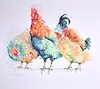 A Colourful Trio