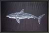 Flick of the Tail (Framed)