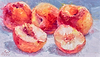 'Peaches' White Flesh I