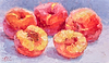 'Peaches' Yellow Flesh I