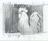 Rooster