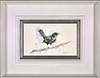 Male Blackbird (Framed)