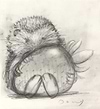 Sharing is Caring Strawberry (Sketch)