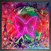 Butterfly Dreams IV
