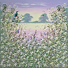 Spring Harmony II