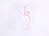 Young Elephant Sketch XIII