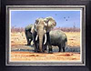 Conference at Marabou Pan (Framed)