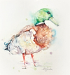 Mallard Drake