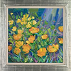 Welsh Poppies in my Garden