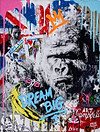 Dream Big