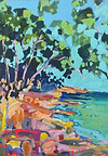 Rocky Cove