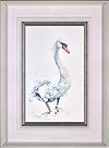 Male Mute Swan (Framed)