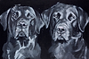 Loyal Companions