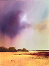 Approaching Summer Storm