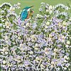 Floral Stillness