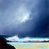 The Shores Relentless Muse