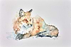 Resting Fox