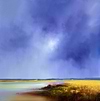 Sky and Shoreline