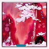 Plum Blossom Special II (Framed)