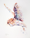 Quiet Hunter - Barn Owl
