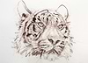 Tiger VII (Study)